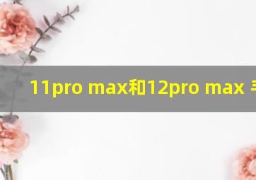 11pro max和12pro max 手机壳